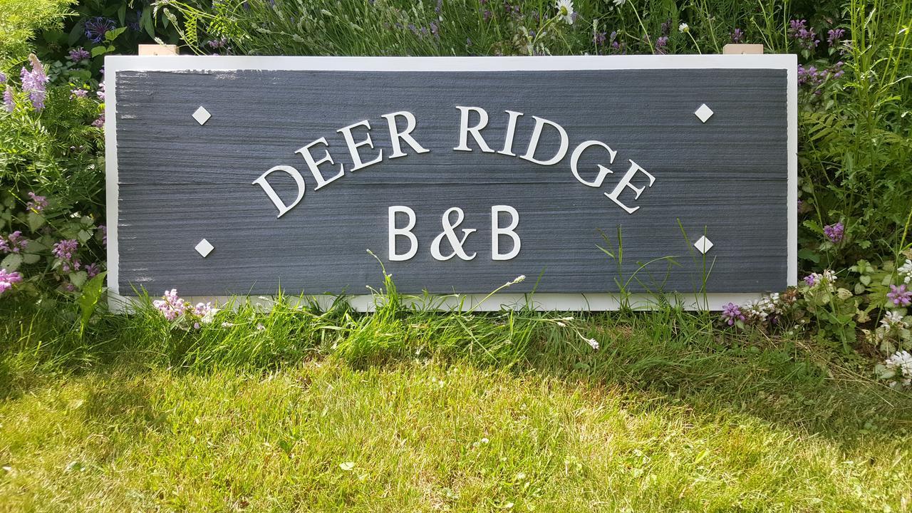 Deer Ridge B&B Golden Kültér fotó